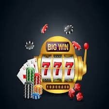 k9win